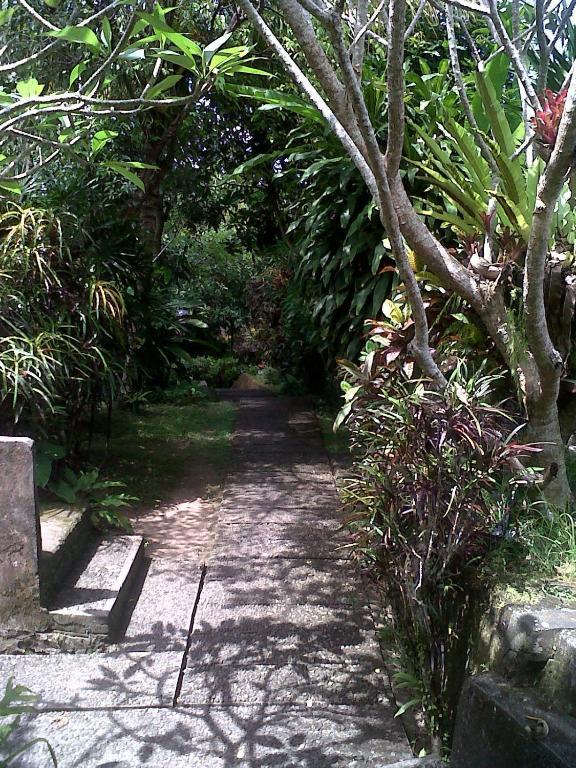 Arjana Bungalows 2 Ubud  Luaran gambar